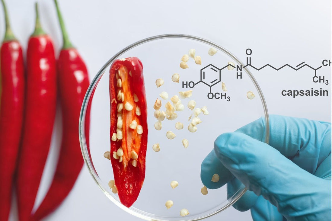How Capsaicin Affects the Body: The Science Behind the Heat of Wiri Fire Hot Sauce - Wiri Fire Hot Sauce