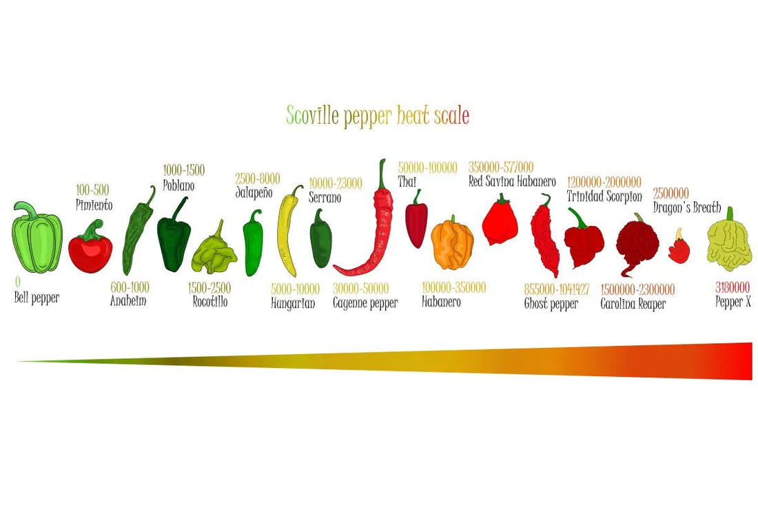 Scoville Scale Explained: How Hot Is Wiri Fire Hot Sauce? - Wiri Fire Hot Sauce