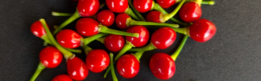 Exploring the Wiri Wiri Pepper: Guyana’s Fiery Gem